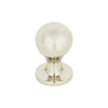 Polished Nickel=A800-PN