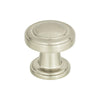 Brushed Nickel=313-BRN
